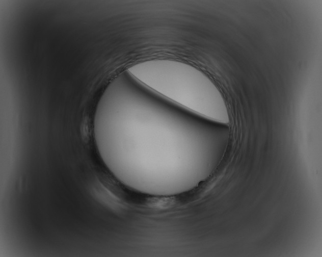 X0000099570135200805160733
