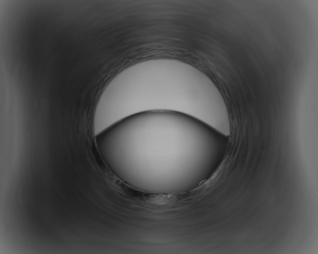 X0000099570136200805160733
