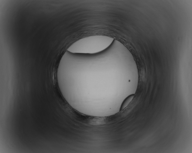X0000099570138200805160733