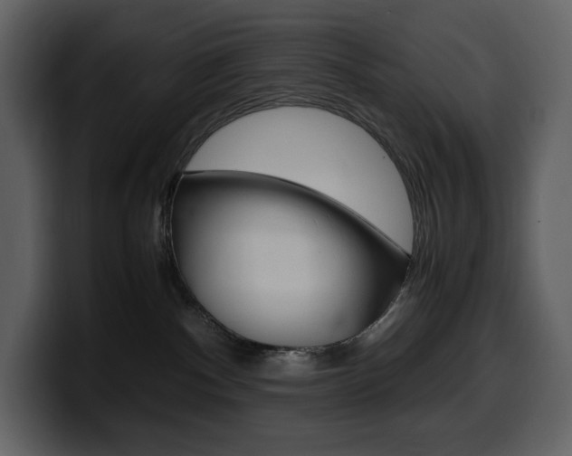 X0000099570140200805160733
