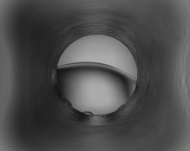 X0000099570141200805160733