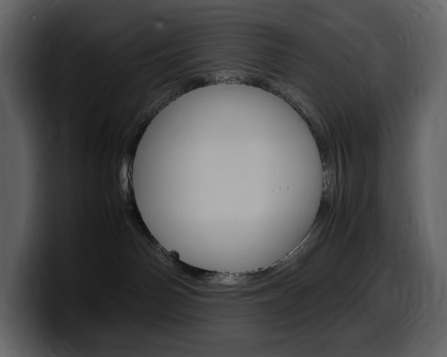 X0000099570142200805160733