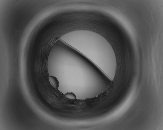 X0000099570143200805160733