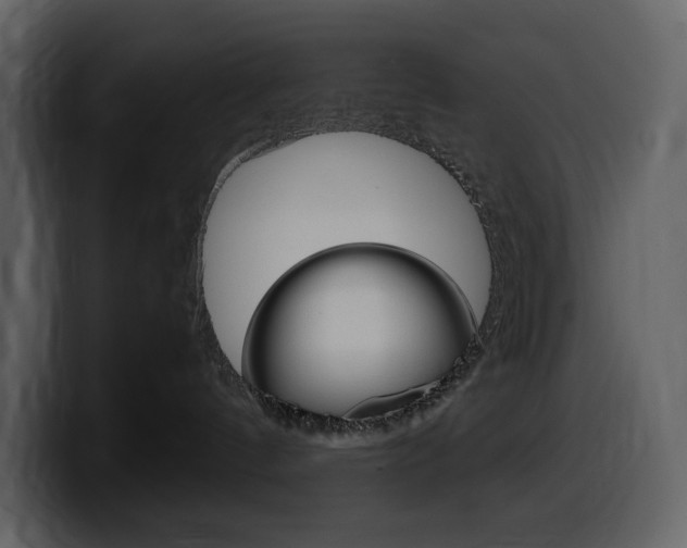 X0000099570144200805160733
