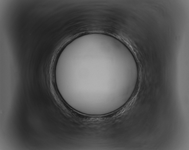 X0000099570145200805160733