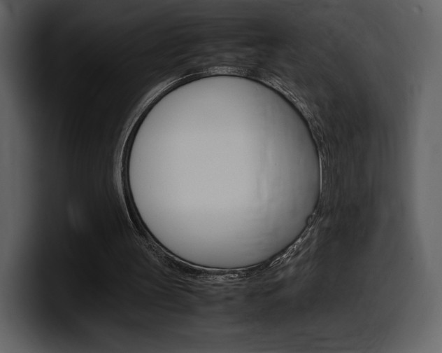 X0000099570147200805160733