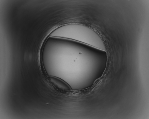 X0000099570148200805160733