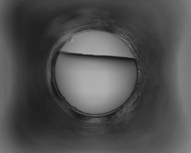 X0000099570149200805160733