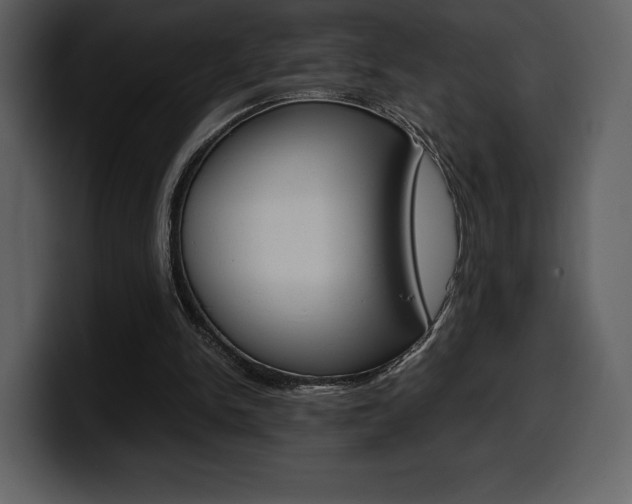X0000099570150200805160733