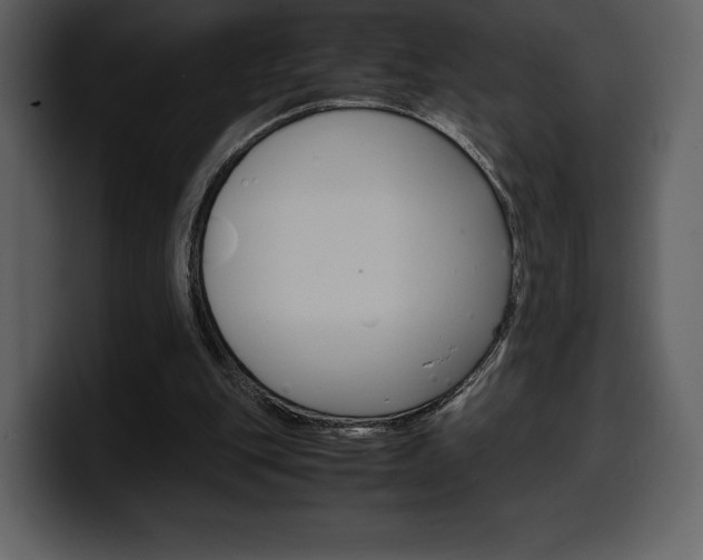 X0000099570151200805160733