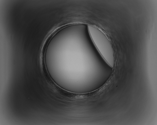 X0000099570152200805160733