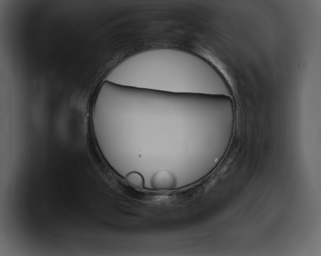 X0000099570153200805160733