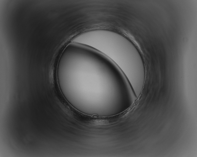 X0000099570154200805160733