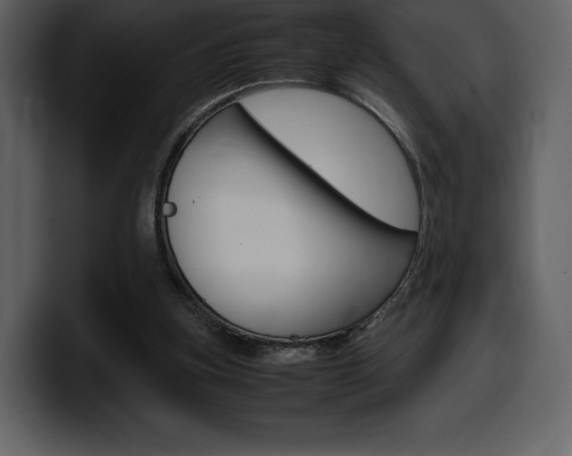 X0000099570155200805160733