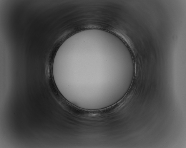 X0000099570157200805160733