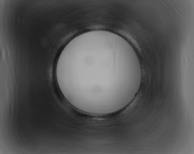 X0000099570159200805160733
