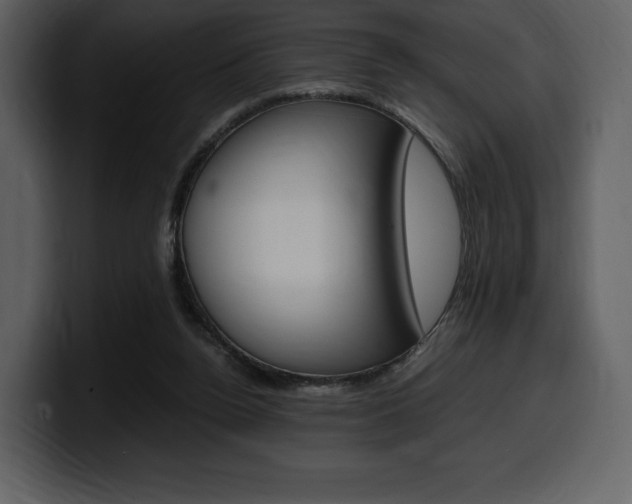 X0000099570160200805160733