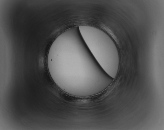X0000099570161200805160733