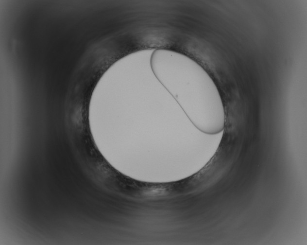 X0000099570162200805160733