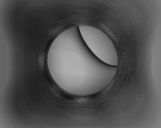 X0000099570163200805160733