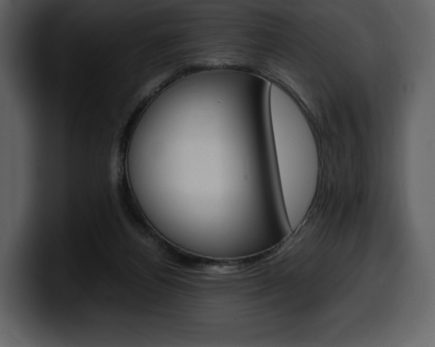 X0000099570164200805160733