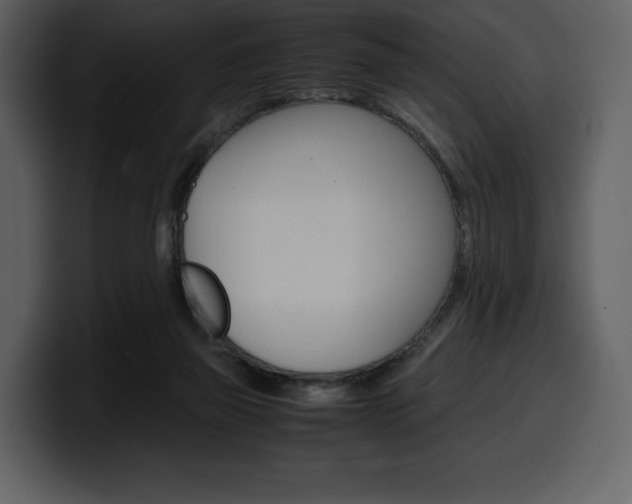 X0000099570165200805160733