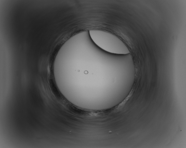 X0000099570166200805160733