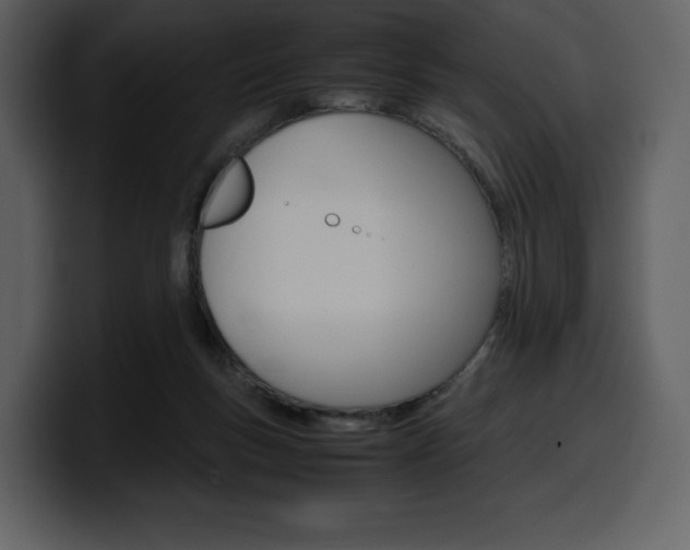 X0000099570167200805160733