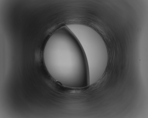 X0000099570168200805160733