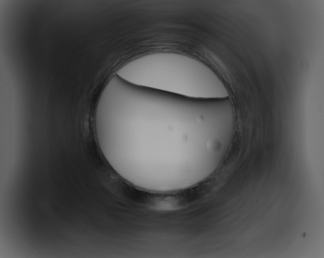 X0000099570169200805160733