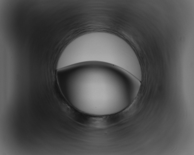 X0000099570170200805160733