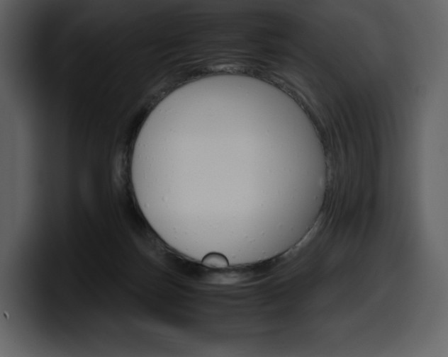 X0000099570171200805160733