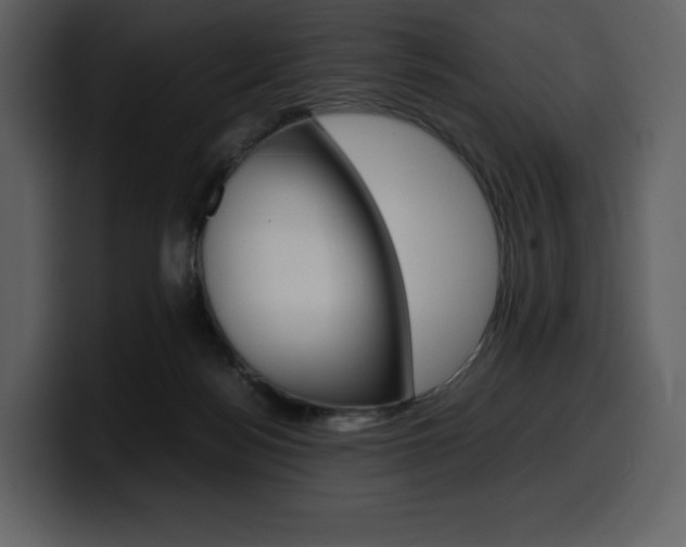X0000099570172200805160733