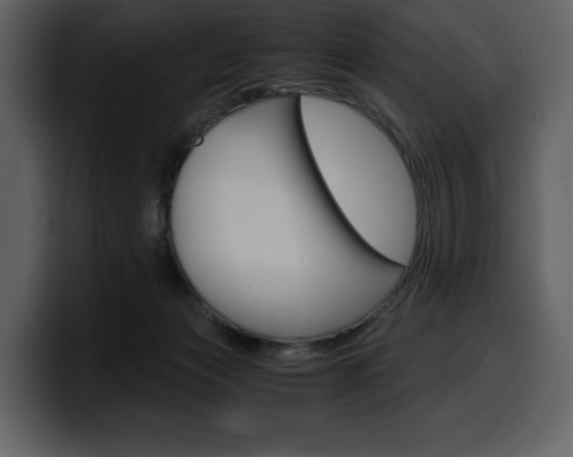 X0000099570173200805160733