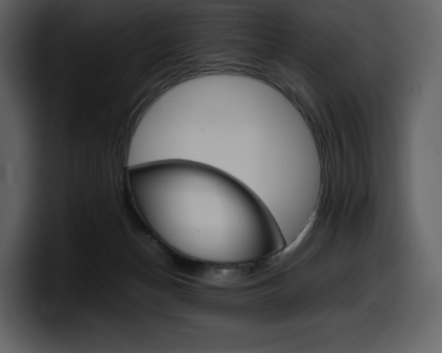 X0000099570174200805160733
