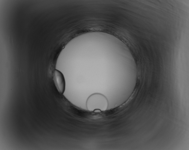 X0000099570175200805160733