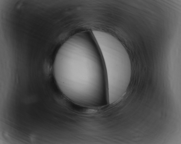 X0000099570176200805160733