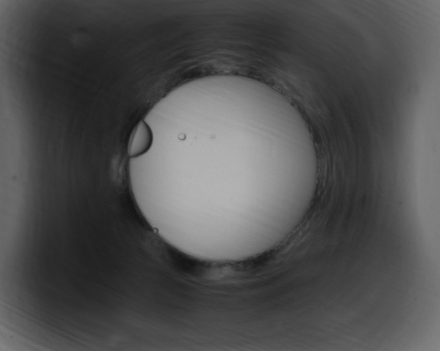 X0000099570177200805160733