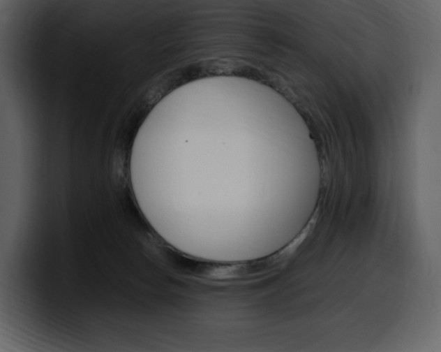 X0000099570178200805160733