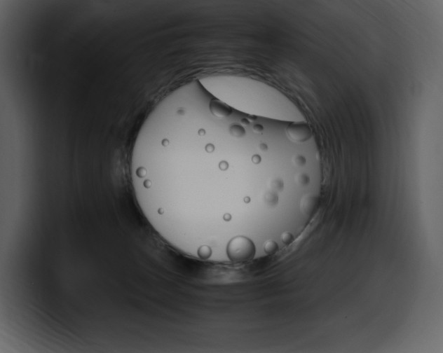 X0000099570179200805160733