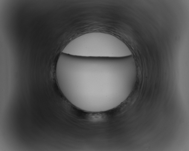 X0000099570181200805160733