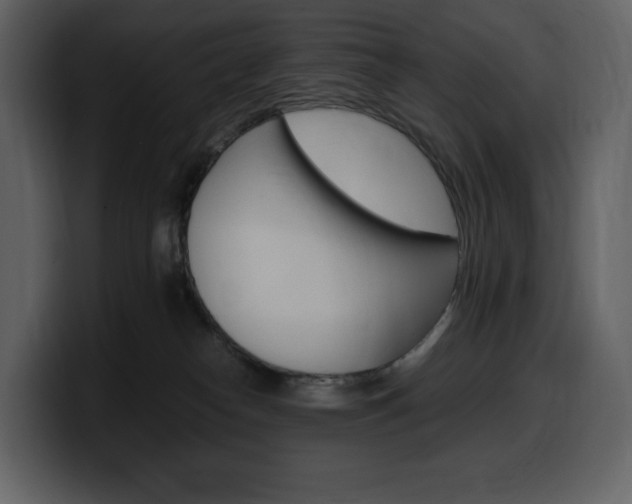 X0000099570182200805160733