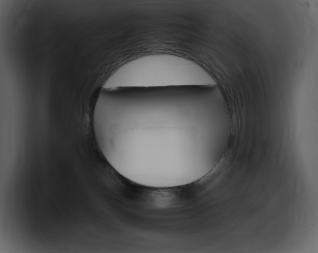 X0000099570183200805160733
