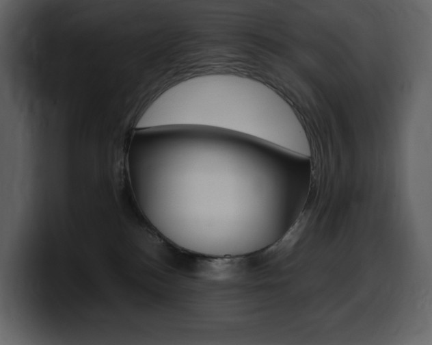 X0000099570184200805160733