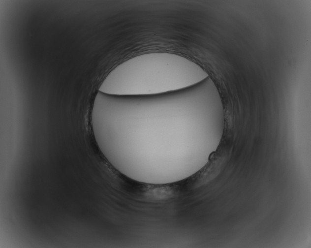 X0000099570185200805160733