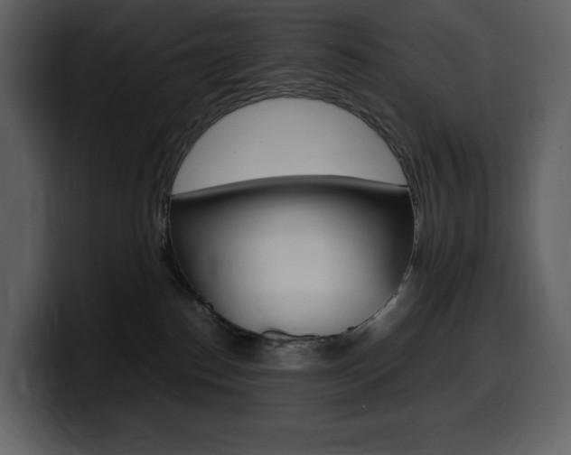 X0000099570186200805160733