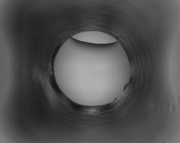 X0000099570187200805160733