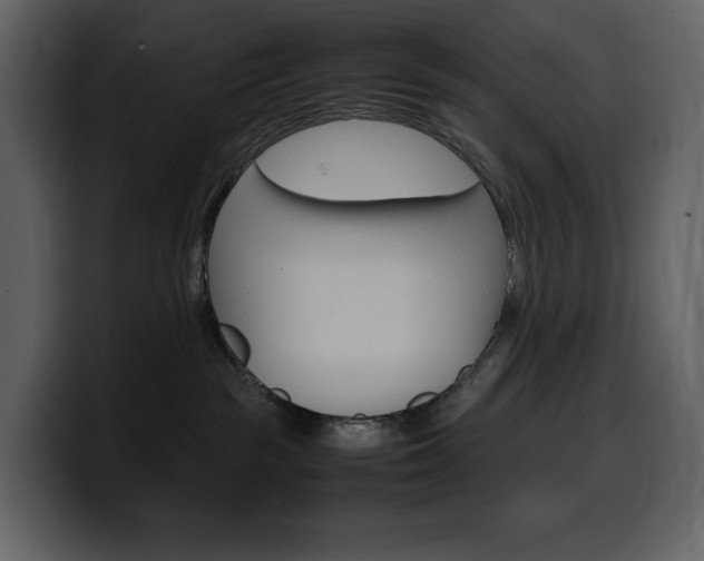 X0000099570189200805160733