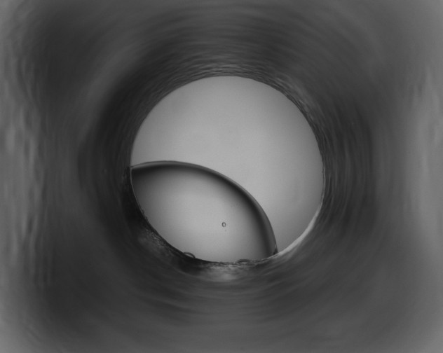 X0000099570190200805160733