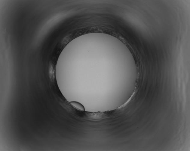 X0000099570191200805160733